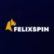Felixspin