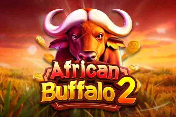 African Buffalo 2