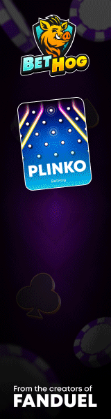 Bethog 160x600 V Banner