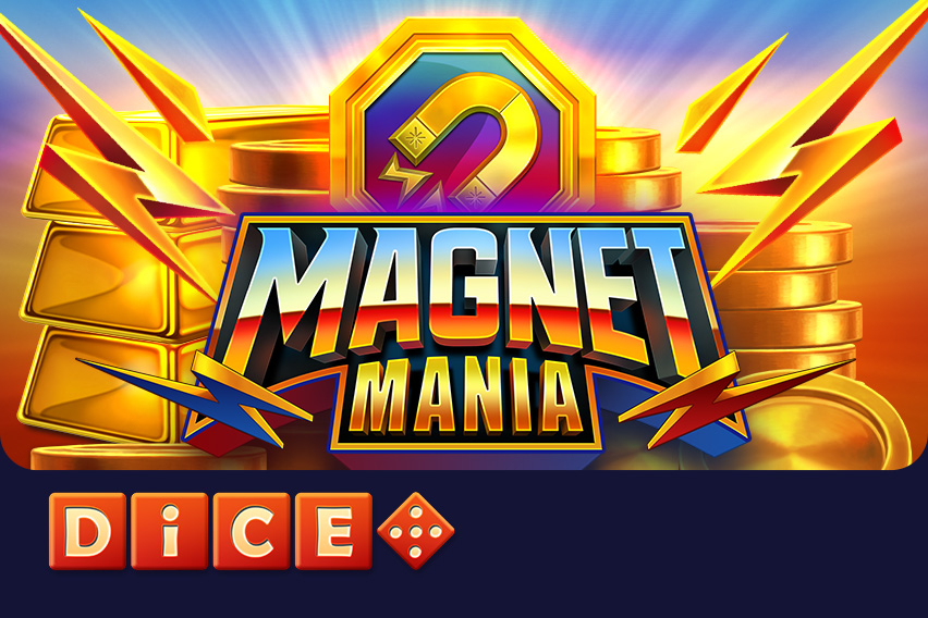 Magnet Mania Dice